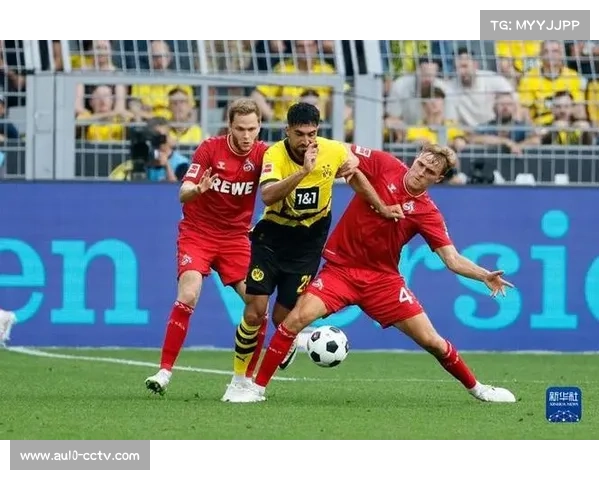 德甲联赛竞争激烈 欧战名额与保级形势悬而未决